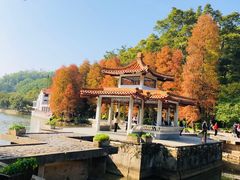 -深圳仙湖植物园