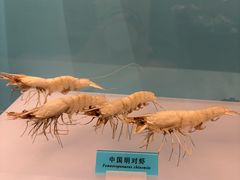 -天津自然博物馆