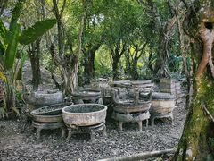-云南勐巴娜西珍奇园