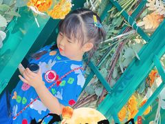 -金鸡湖桃花岛