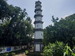 -桐君山春江扬帆码头