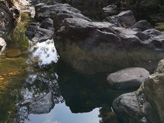 -银瓶嘴森林公园