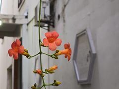 -衣裳街历史文化街区