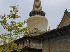 -张掖大佛寺景区