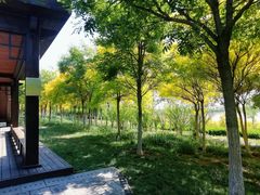 -天津东丽湖风景区