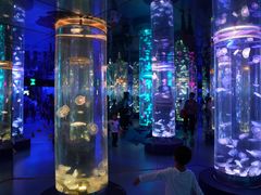 -梦幻海洋王国(吾悦广场张家港店)