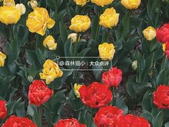 -西宁市人民公园(城西区)
