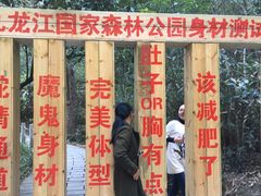 -九龙江国家森林公园