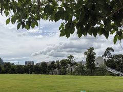 -白石龙音乐公园