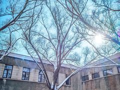 -沈阳职业技术学院