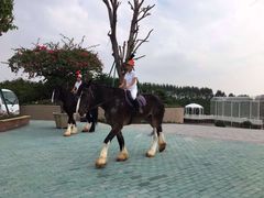 -迪茵湖田家舍生态农场