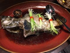 蒸龙胆-五缘湾凯悦酒店·悦饗中餐厅