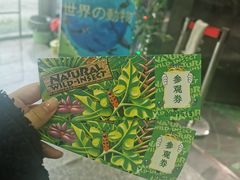 -上海大自然野生昆虫馆(东方明珠·爬宠昆虫探索中心)