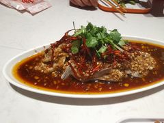 -杨氏青龙虾·羊蝎子(金盛路总店)