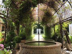 -The Grounds of Alexandria