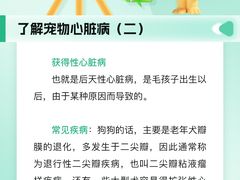 -瑞派申生动物医院·24H夜诊·国际动物医疗中心·骨外科(吴中路店)