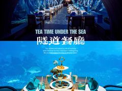 -海棠湾洲际-涛·海底餐厅·美人鱼·自助餐·海底隧道