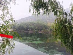 -芦芽山旅游度假区