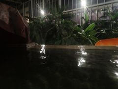 -中家鑫园温泉酒店鑫悦汤泉