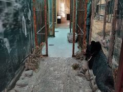 -北京动物园-畅观楼