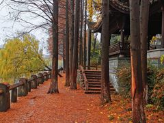 -运河游船(武林门码头)