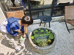 -南京夫子庙石唯玉雨花石酒店