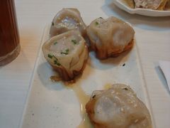 鲜肉生煎-咬不得高祖生煎·简餐(高银街店)