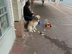 -宠物星动物医院·眼科·异宠·猫科(江南大道总院)