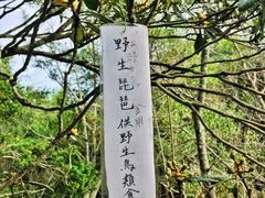 -日月潭