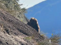 -康熙养生SPA·轻奢足道(江宁万达店)