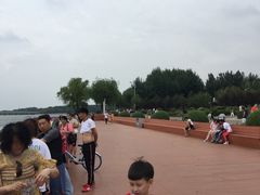 -丁香湖公园
