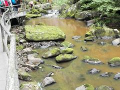 -茅兰沟国家森林公园