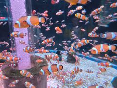 -海合安成都极地海洋公园