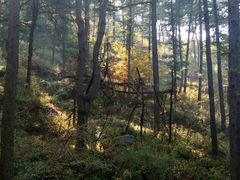 -鲁山国家森林公园