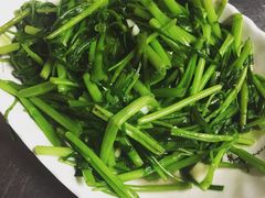 烫青菜-文章牛肉汤