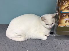 -瑞派宠物医院(锦江店)