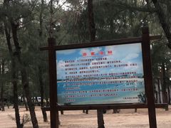 -马銮湾景区