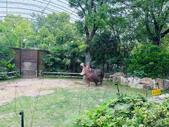 -上海野生动物园