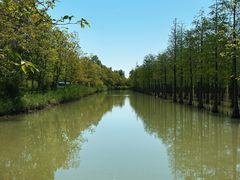 -泗洪洪泽湖湿地景区