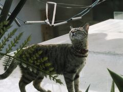 -猫的天空之城概念书店(苏州平江店)