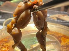 -哥老官重庆美蛙鱼头(龙湖杭州金沙天街店)