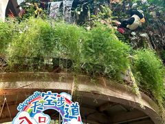 -正佳雨林生态植物园