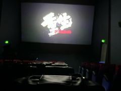 -幸福蓝海国际影城(河西店)