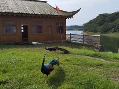 -万佛湖风景区