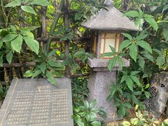 -观澜山水田园