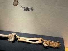 -深圳博物馆历史民俗馆