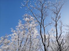 -中旅松花湖滑雪场