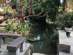 -小洲村