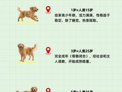 -瑞鹏·疫苗·绝育·宠物医院(金沙洲店)