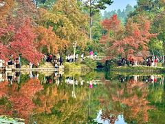 -西山人家·传统苏帮菜·家宴(木渎店)